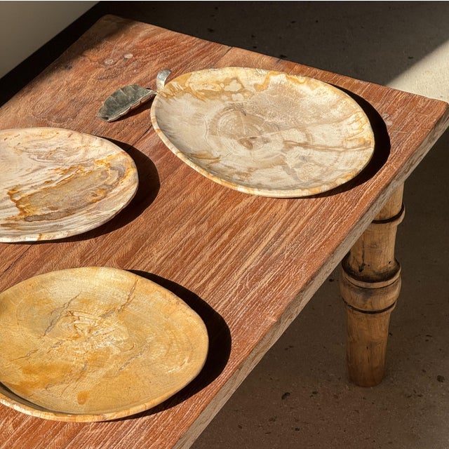 Small Trinket Tray in Speckled Beige Petrified Wood For Sale - Image 13 of 18