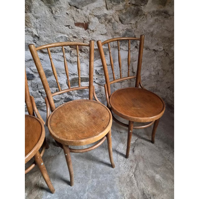 Bentwood Bistro Chairs from Fischel, Former Czechoslovakia, 1930s, Set of 6 For Sale - Image 17 of 18