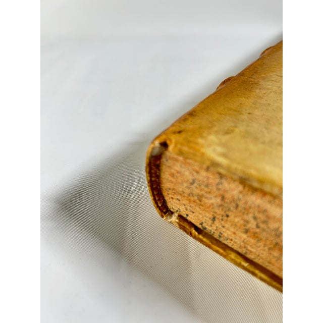 17th Century Illustrated Vellum Book, Ulisse Aldrovandi's Serpentum Et Draconum Historiæ Libri Duo For Sale - Image 11 of 12