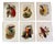 John Gould, Tropical Bird Plates, 1948, Prints, Set of 6 For Sale