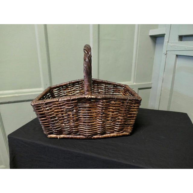1900 - 1909 Antique French Wicker Flower and Fruit Basket, 1900 For Sale - Image 5 of 7