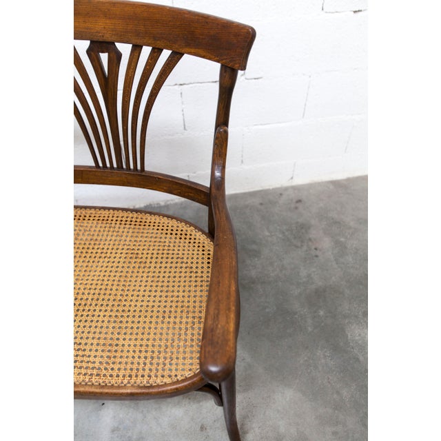 Hand-Caned Bentwood Bench from Fischel, 1930s For Sale - Image 9 of 18