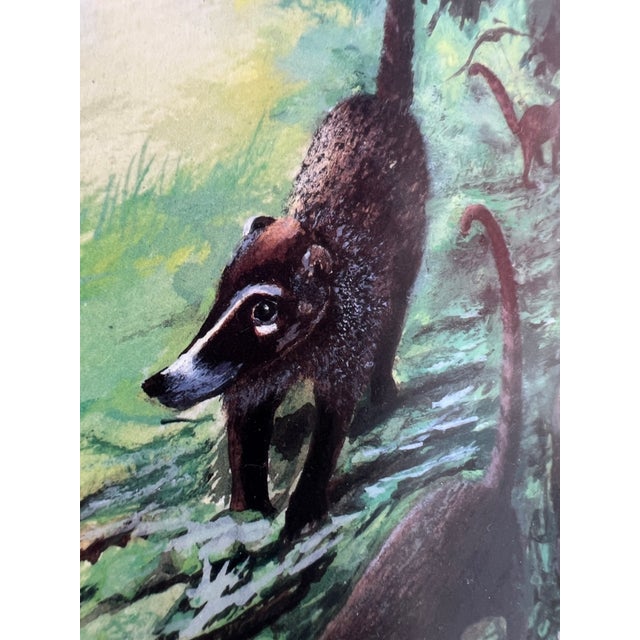 This item is a framed fine art print depicting a group of white-nosed coatis in a lush forest habitat. White-nosed coatis...