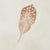 Schumacher Schumacher Woodland Feathers Wallpaper In Autumn For Sale - Image 4 of 5