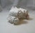 Ceramic Mid Century Ceramic Baby Donkey Planter Pink & White Spaghetti Detail For Sale - Image 7 of 10