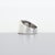 Vintage Lapponia Sterling Silver Modernist Ring For Sale - Image 9 of 10