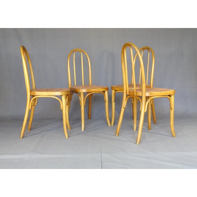 N°A 738 Bistro Chairs from Thonet, 1920, Set of 4 For Sale - Image 12 of 16