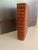 Animal Skin Webster’s New World Dictionary of the American Language — College Edition For Sale - Image 7 of 13