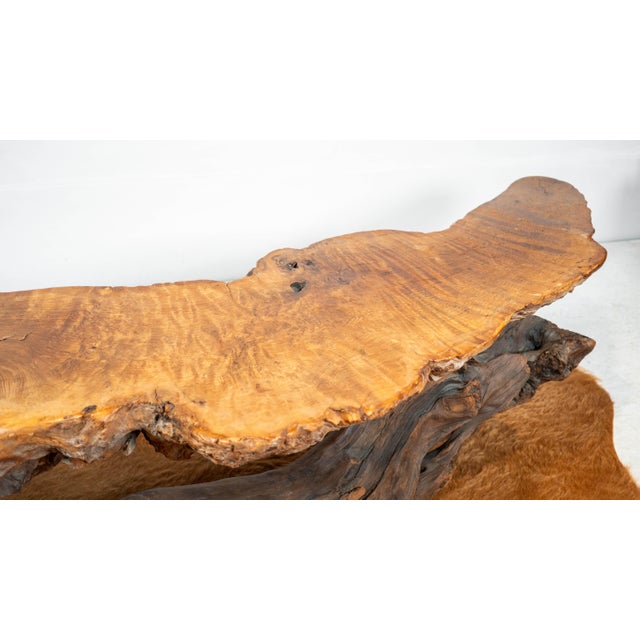Wood Vintage American Primitive Burlwood Live Edge Coffee Table For Sale - Image 7 of 18