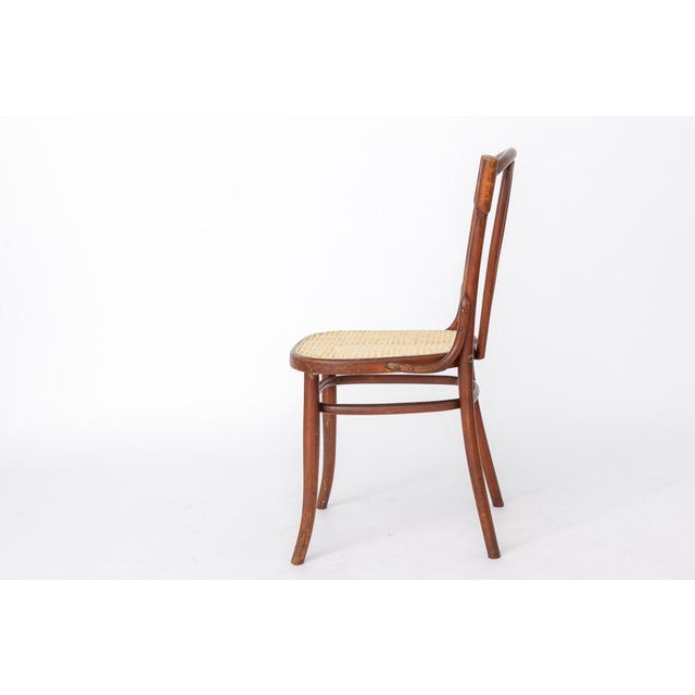 1930s Antique Austrian Bentwood Chair in Rattan in the Style of Thonet No. 56, 1930s For Sale - Image 5 of 14
