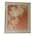 Flower Silhouette Matted 1980’s Framed Picture Embossed Serigraph For Sale