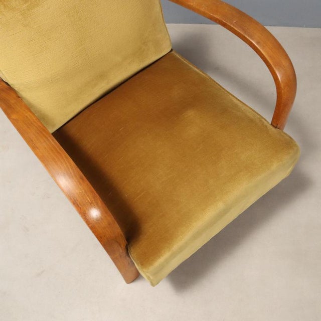 Olive Armchairs, 1950s-1960s, Set of 2 For Sale - Image 8 of 10