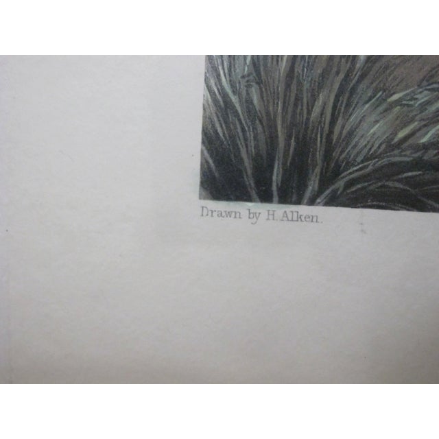 Henry Alken Fores Hunting Sketches Plate 2 Right & Wrong Sort Harris Engraving For Sale - Image 10 of 13