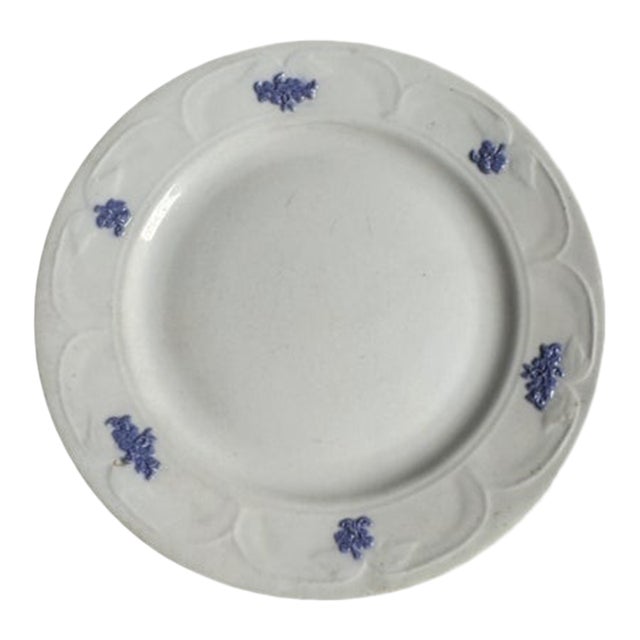 Antique Adderley "Chelsea Grape" Luncheon Plate. 8 5/8" Diameter. 4 Available For Sale
