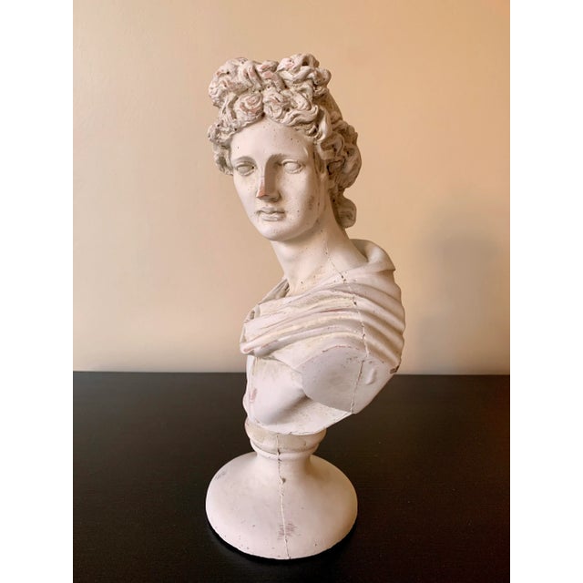 Classical Plaster Bust of Mythological Apollo Belvedere Sculpture For Sale - Image 4 of 7