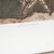 - Artwork dimensions (cm): 66 x 84