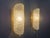 Glass and Brass Wall Sconces from Fischer Leuchten, 1960s, Set of 2 For Sale - Image 12 of 12
