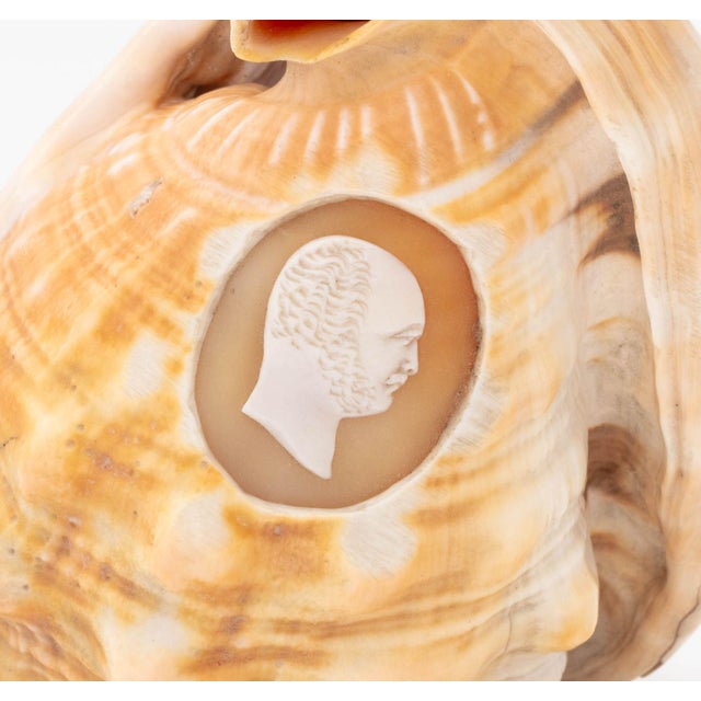Victorian Victorian Cameo Carved Conch Shell, 19th C. For Sale - Image 3 of 8