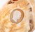 Victorian Victorian Cameo Carved Conch Shell, 19th C. For Sale - Image 3 of 8