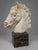 Grand Tour–Style Marble Horse Head on a Marble Plinth, Italian C. 1900 For Sale In Providence - Image 6 of 14
