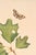 Oak Leaf & Acorn Study With Moths, 1797 Vintage Art Print Reproduction, 16" X 24" For Sale - Image 4 of 10