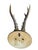 1900 - 1909 Roe Deer Trophy 210 Black Forest Antlers For Sale - Image 5 of 5