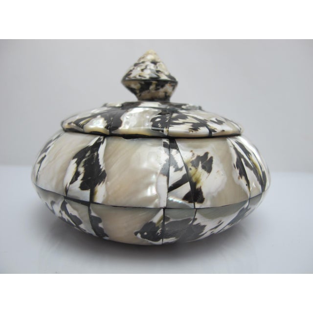 Nautical Wood Inlaid Mother of Pearl Black & White Shell Round Lidded Trinket Box For Sale - Image 3 of 10