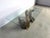 Vintage Gilt Wood Mermaid Coffee Table, 1960s For Sale - Image 9 of 12