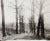 American Vintage Wwi Official Photograph Lonely Tree Lined Lane Strung Wire For Sale - Image 3 of 3