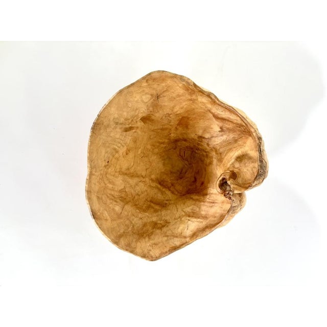 Wood Large Swedish Burl Wood Bowl, 1971 For Sale - Image 7 of 10