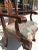 Wood Set of 10 1940s Flamed Mahogany Chippendale Style Dining Chairs For Sale - Image 7 of 12