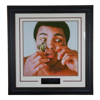 1970s Muhammad Ali Portrait Photo Butterfly Bee Framed Print & Plaque 29" For Sale