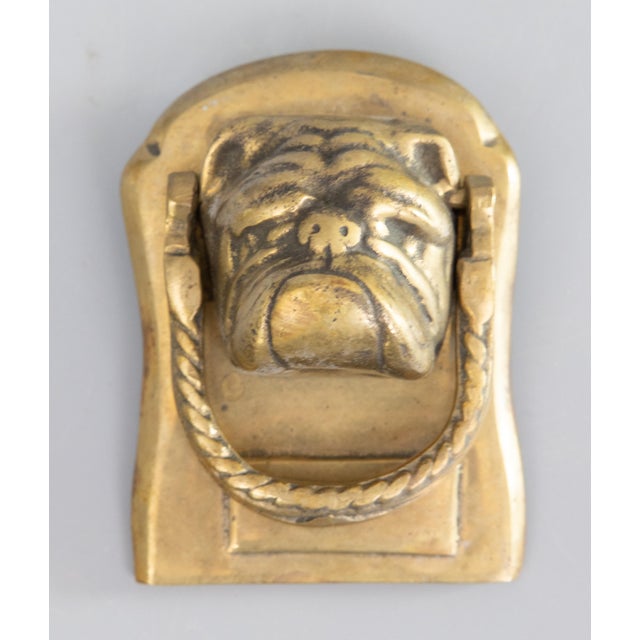 19th Century English Brass Bulldog Door Knocker For Sale In Houston - Image 6 of 6
