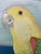 Allison Cosmos “The Feather Forecast” Surrealism Parrot Painting Art by Allison Cosmos For Sale - Image 4 of 4