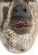 Brown Early 20th Century Antique Songye Mask For Sale - Image 8 of 9
