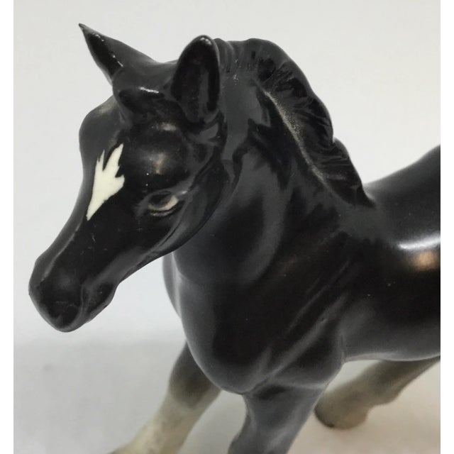 1950s Mid Century Bone China Colt Horse Figurine For Sale - Image 5 of 8