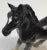 1950s Mid Century Bone China Colt Horse Figurine For Sale - Image 5 of 8