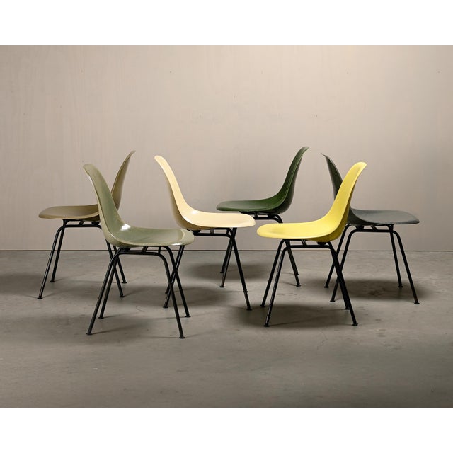 Iconic chairs designed by Charles & Ray Eames for Herman Miller. Molded fiberglass shells in the colors: Elephant Hide...