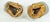 A lovely pair of decorative Prussian helmets Compliment the most eclectic decor Perfect for the study or library