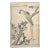 Imao Keinen, "Green Back Parrot, Plum Blossoms," 1891 First-Edition Antique Japanese Woodblock Print For Sale