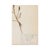 Rustic European Antique Swedish Herbarium - Ranunculus, Circa 1908 For Sale - Image 3 of 3