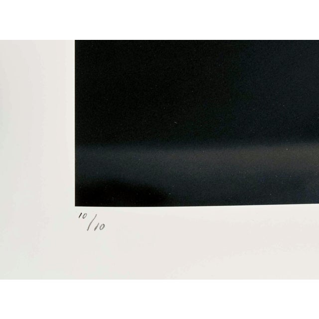 Large Editioned Photograph Cheetah's Throne by Bjorn Persson For Sale - Image 4 of 5