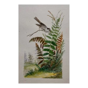 Antique 19th Century Botanical Watercolor With Bird