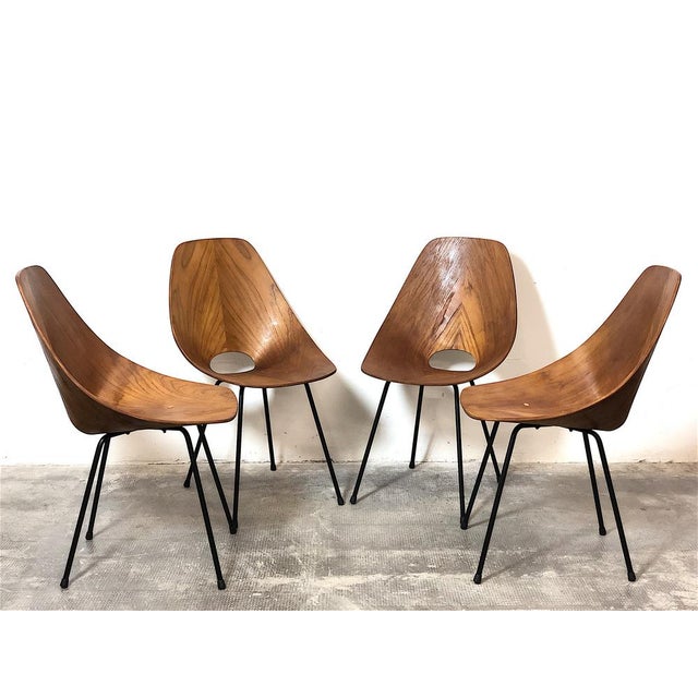 Mid-Century Modern Dining Chairs attributed to Vittorio Nobili for Fratelli Tagliabue, 1950s, Set of 4 For Sale - Image 3 of 18