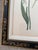 1990s Tulip Mania Set of Four Botanical Lithograph Prints From Scully & Scully in Black/Gold Scroll Frames - Set of 4 For Sale - Image 17 of 18