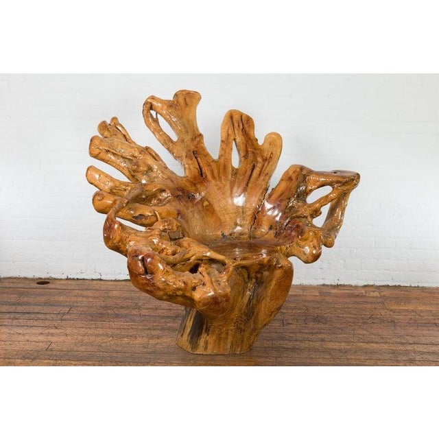 Rustic Vintage Rustic Chinese Camphor Wood Tree Root Armchair with Light Varnish For Sale - Image 3 of 12