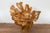 Rustic Vintage Rustic Chinese Camphor Wood Tree Root Armchair with Light Varnish For Sale - Image 3 of 12