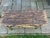Vintage Adirondack Twig Console Table For Sale - Image 9 of 9
