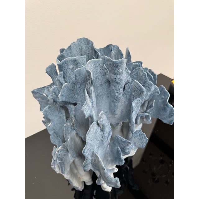 Very Large Specimen of Blue Coral For Sale - Image 11 of 12