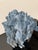 Very Large Specimen of Blue Coral For Sale - Image 11 of 12